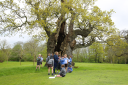 The King John Oak at Hazlegrove Makes Tree of the Year Shortlist The King John Oak at Hazlegrove Makes Tree of the Year Shortlist