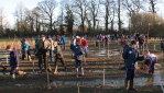 Five years on for The Jubilee Wood Five years on for The Jubilee Wood